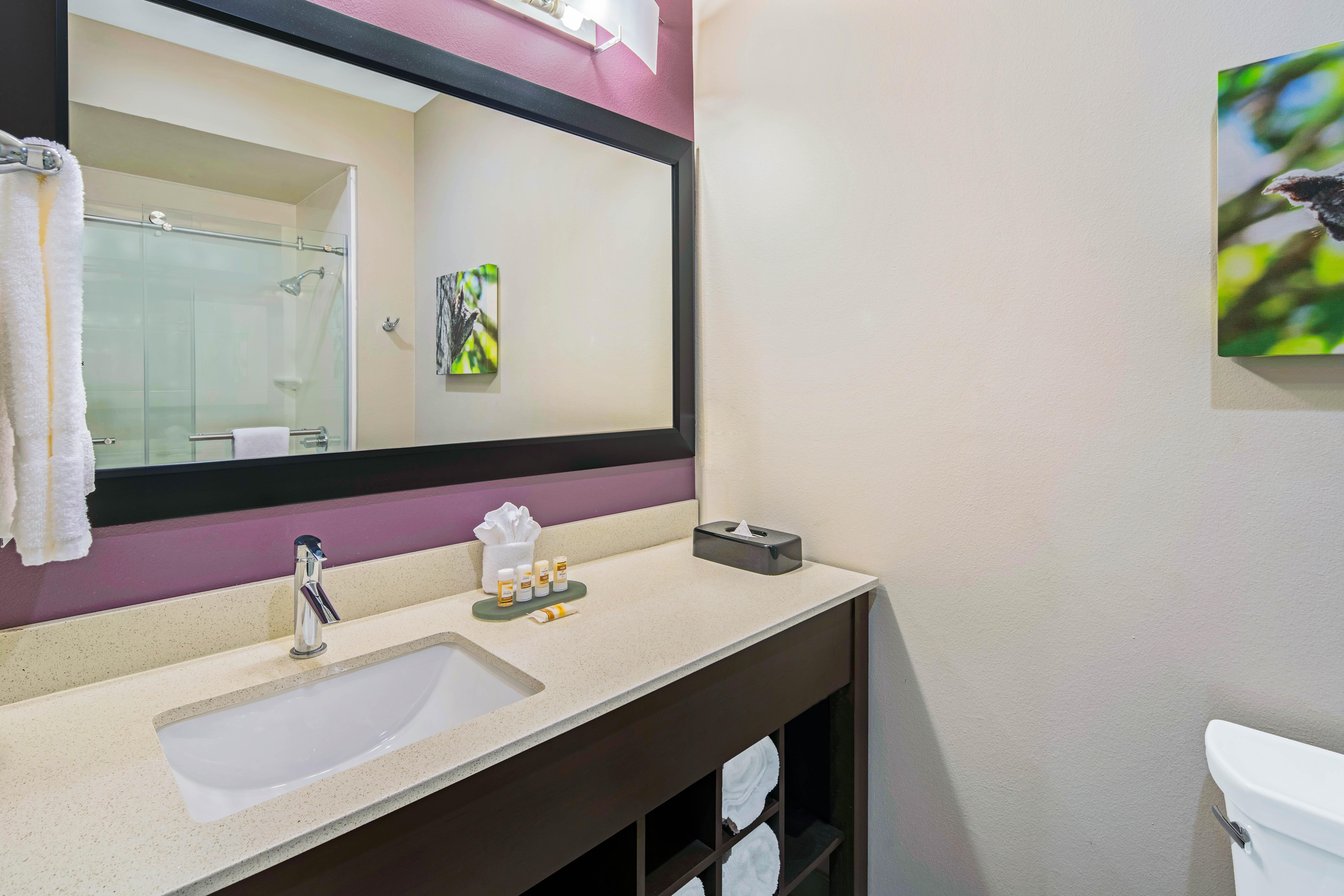 La Quinta By Wyndham Mcallen La Plaza Mall Eksteriør billede